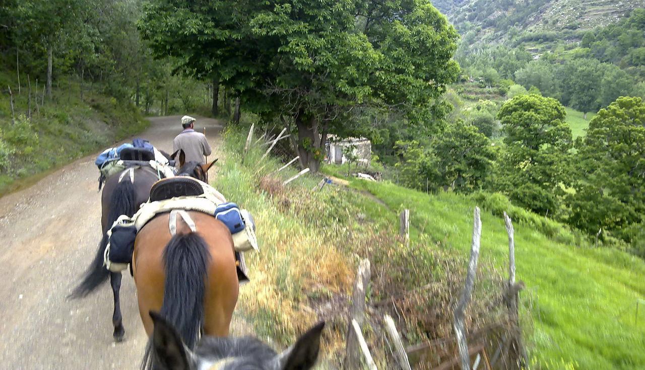Refugio Alpujarra Alta Bed & Breakfast Trevelez Luaran gambar