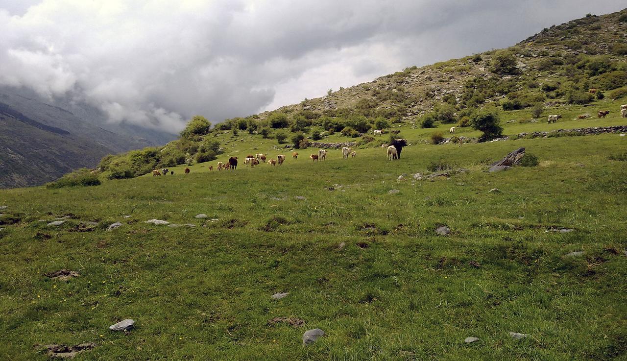 Refugio Alpujarra Alta Bed & Breakfast Trevelez Luaran gambar