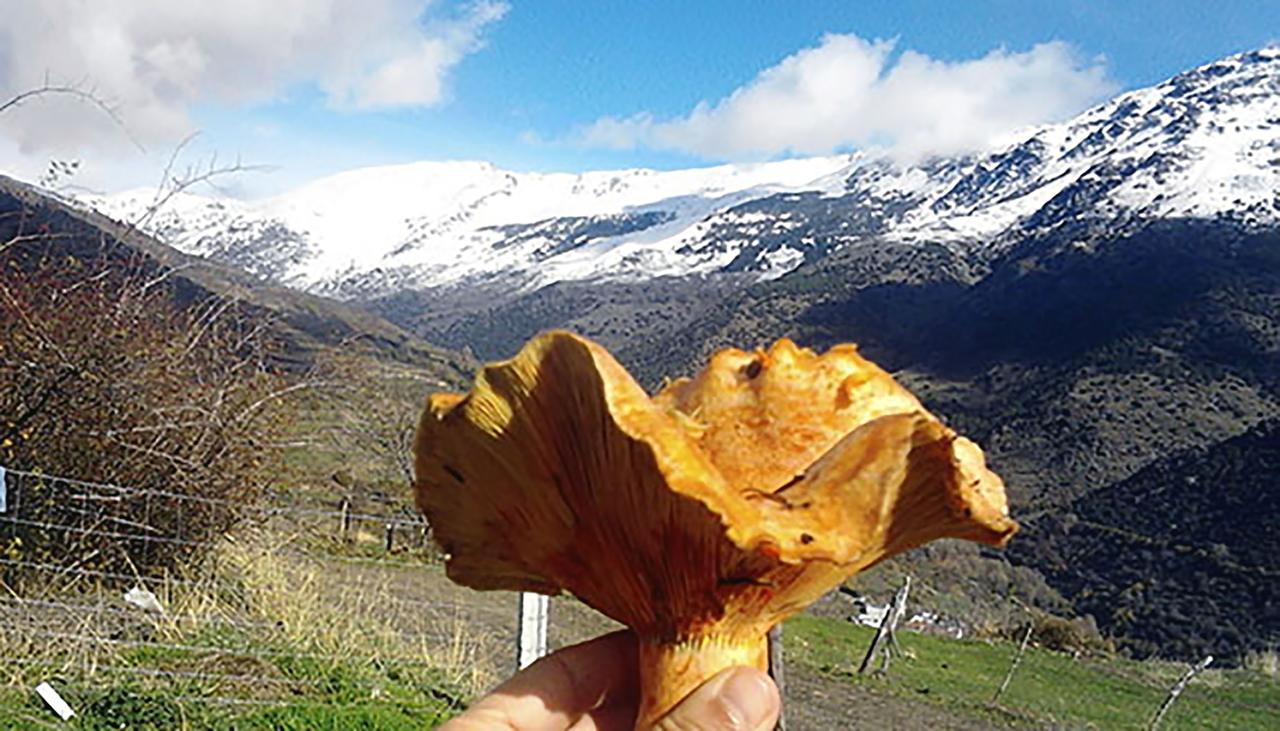 Refugio Alpujarra Alta Bed & Breakfast Trevelez Bilik gambar