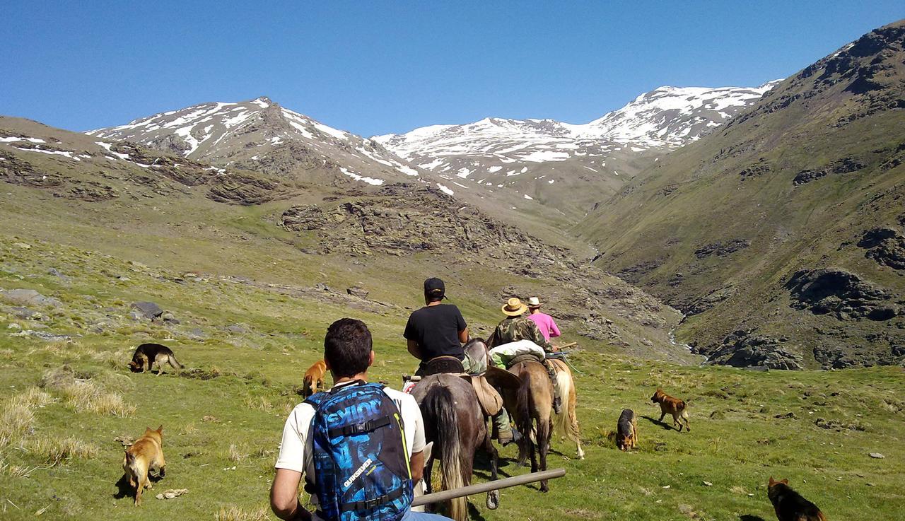Refugio Alpujarra Alta Bed & Breakfast Trevelez Luaran gambar