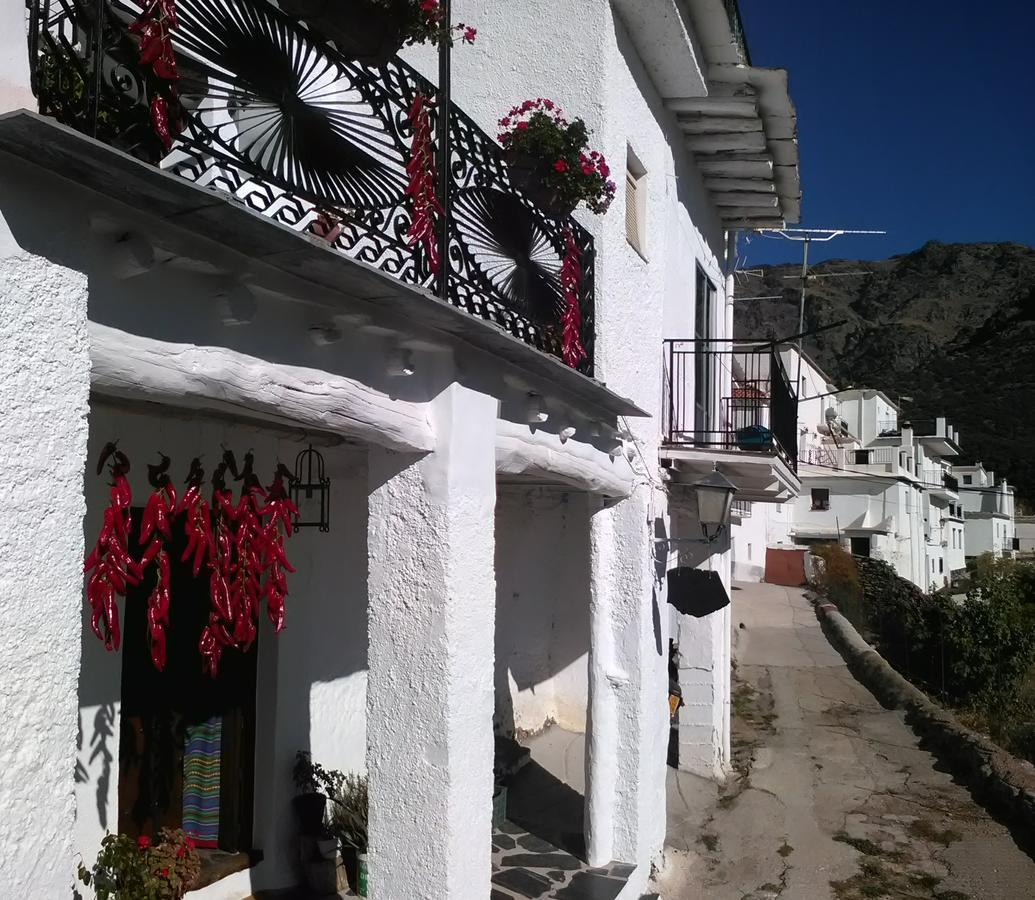 Refugio Alpujarra Alta Bed & Breakfast Trevelez Luaran gambar