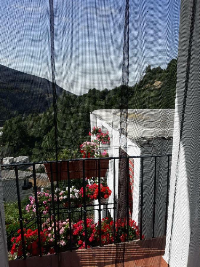 Refugio Alpujarra Alta Bed & Breakfast Trevelez Luaran gambar